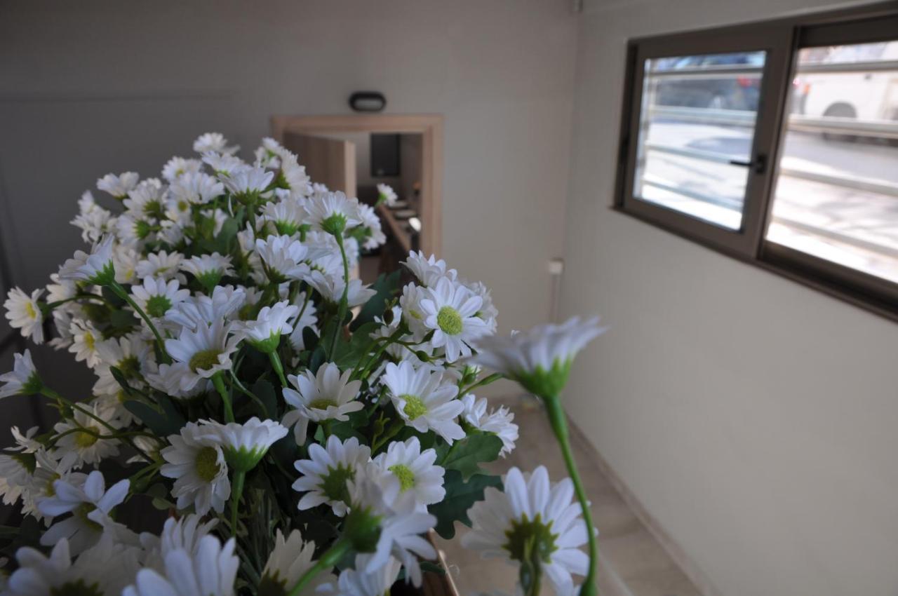 Mirma Halepa Superior Studio خانيا المظهر الخارجي الصورة